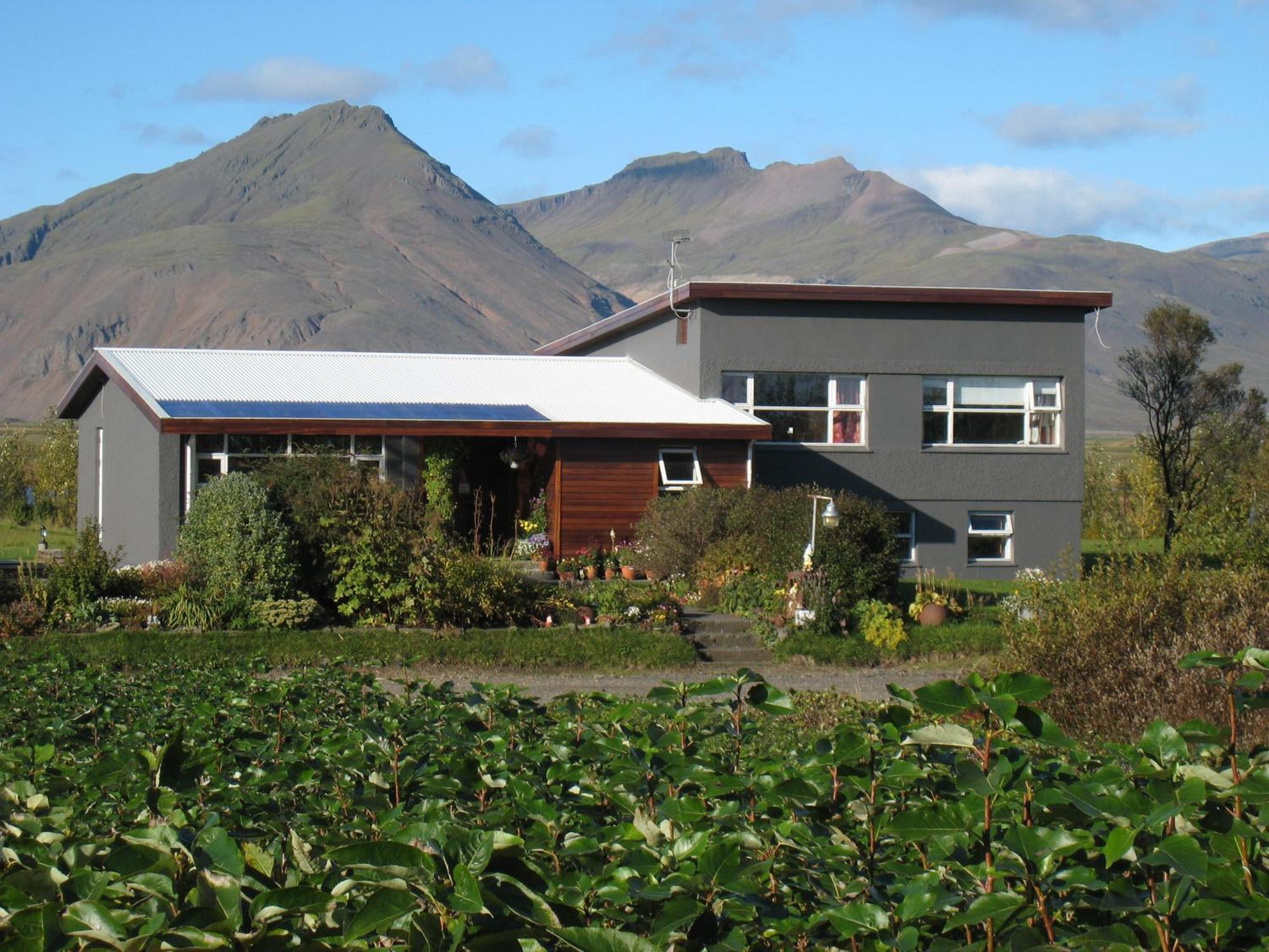 Dilksnes Guesthouse ホプン エクステリア 写真